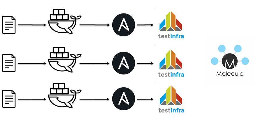 Molecule vs. Testkitchen