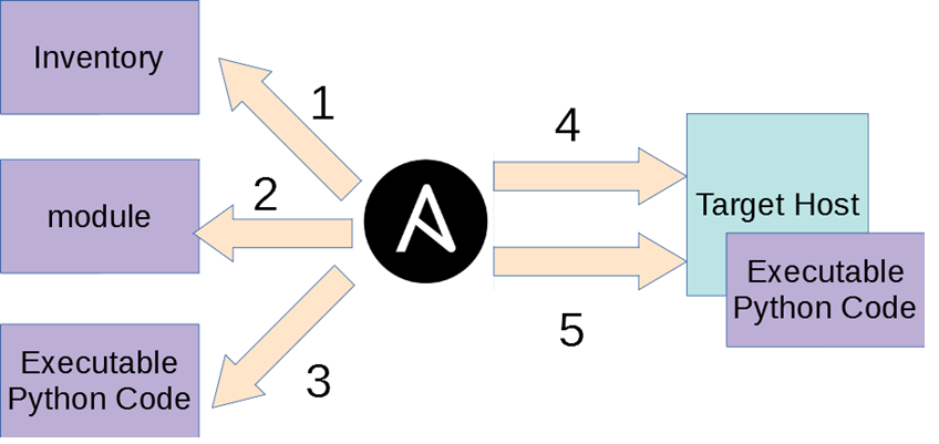 ansible schema